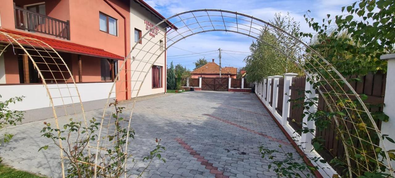 Pensiunea Dara Rîşnov Dış mekan fotoğraf