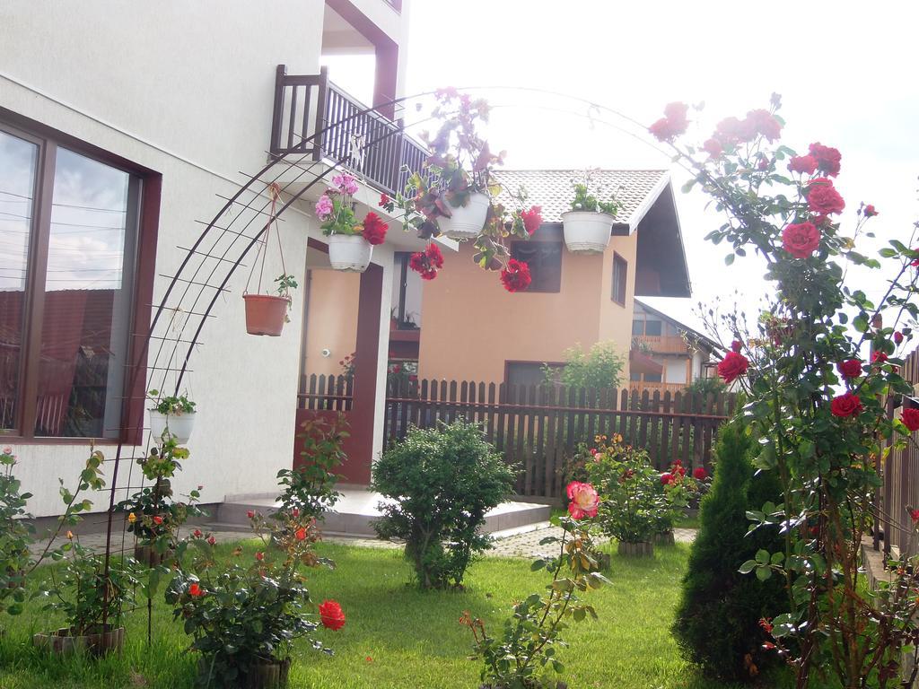 Pensiunea Dara Rîşnov Dış mekan fotoğraf